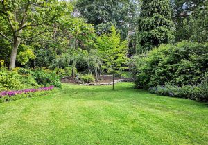 Optimiser l'expérience du jardin à Saint-Sulpice-de-Favieres